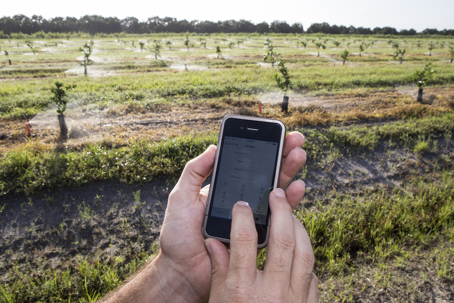 close up photo of an iPhone in a man's hand in a field